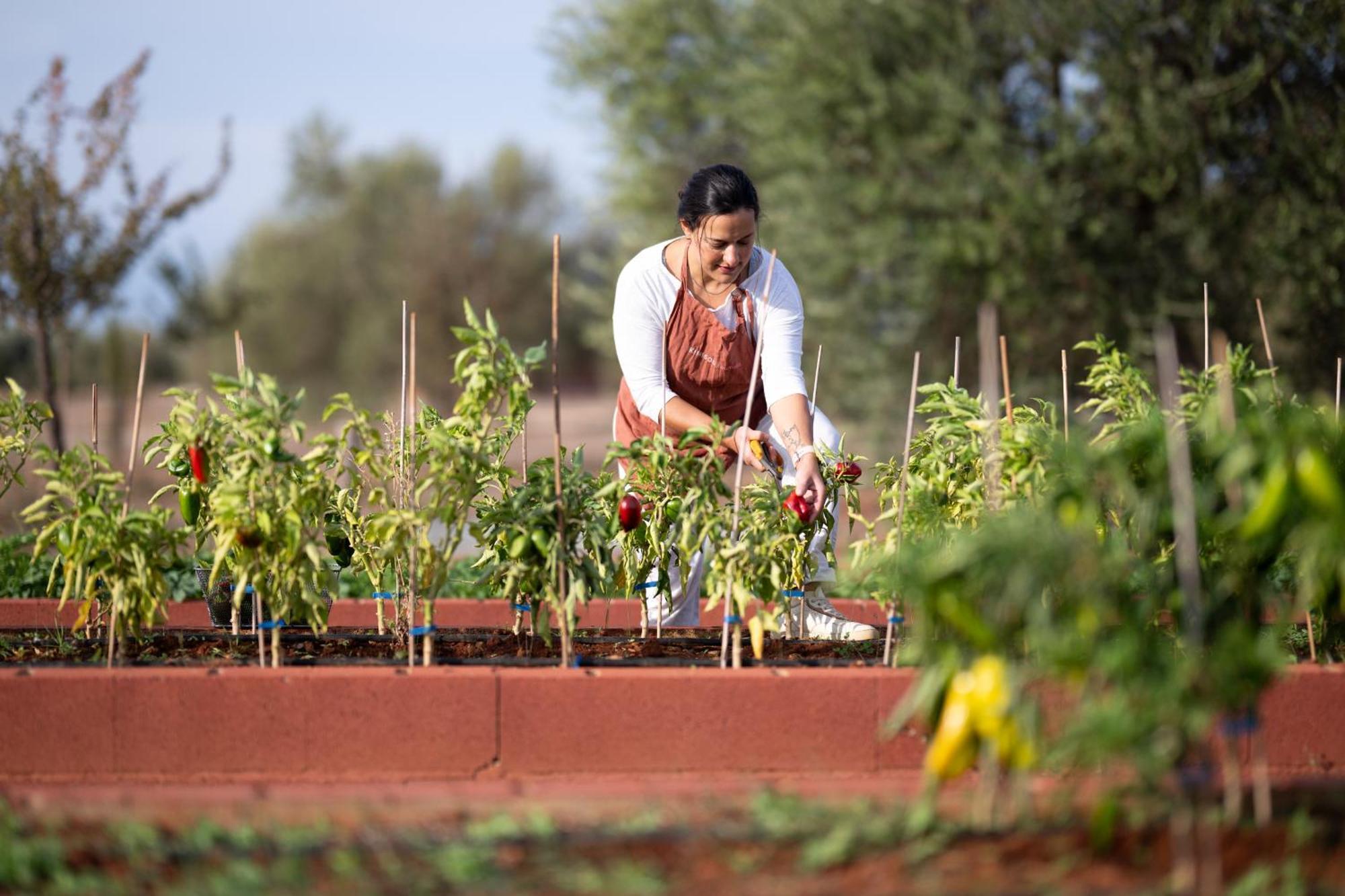 Eumelia Organic Agrotourism Farm Hotell Goúvai Exteriör bild